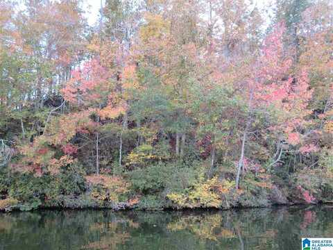 Lot 6 EAGLE MOUNTAIN ROAD, ROCKFORD, AL 35136