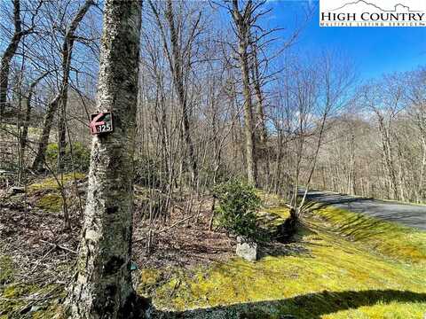 125 Stone Ledge Lane, Blowing Rock, NC 28605