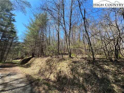 L66 N Hidden Mountain Lane, Crumpler, NC 28617