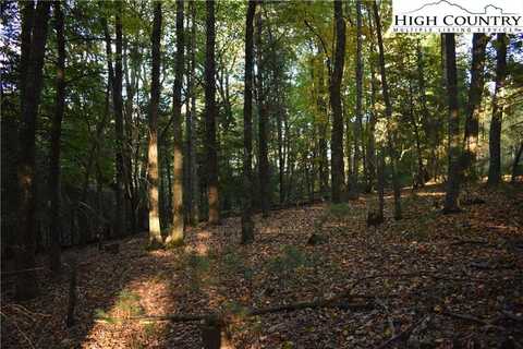 Tbd Hollyknoll Road, Glade Valley, NC 28627