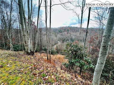 Lot 99 Beaver Dam Road, Elk Park, NC 28622