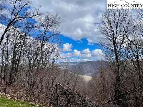 18 Jewelweed Trail, Newland, NC 28657