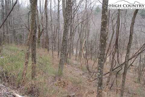 Lot 56 Toms Knob Road, Sparta, NC 28675