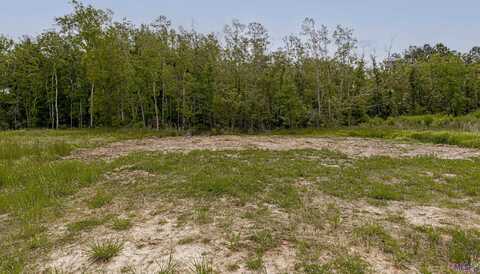 Lot 5-E TEXAS ST, Livingston, LA 70754