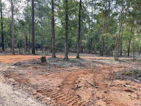 8149 HEPZIBAH RD, Clinton, LA 70722