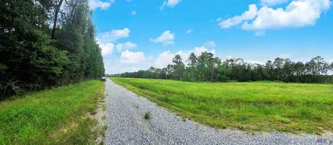 Lot 4 WEISS RD, Walker, LA 70785