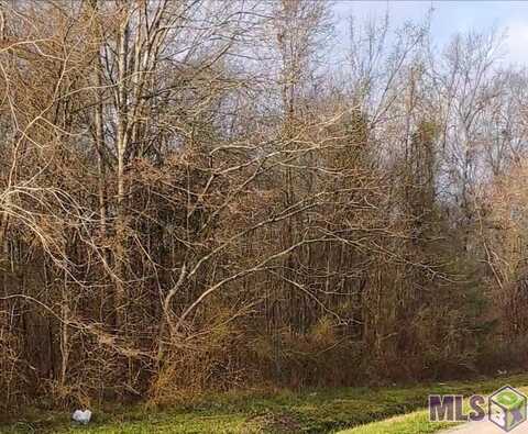 Lot 51-A&B EL SCOTT AVE, Baton Rouge, LA 70811