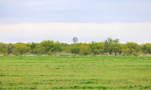 TBD County Rd 408, Eldorado, TX 76936