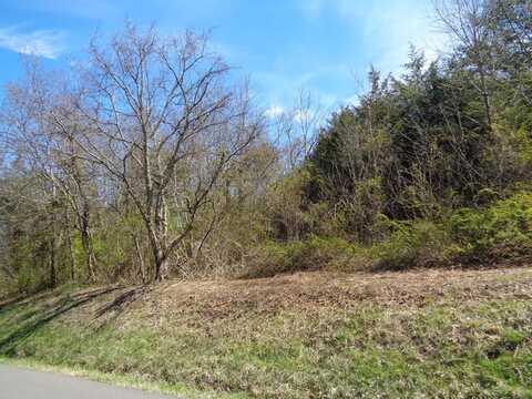 Lot 2 5375 FRED MARSHALL ROAD, Russellville, TN 37860