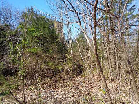Lot 1 5375 FRED MARSHALL ROAD, Russellville, TN 37860