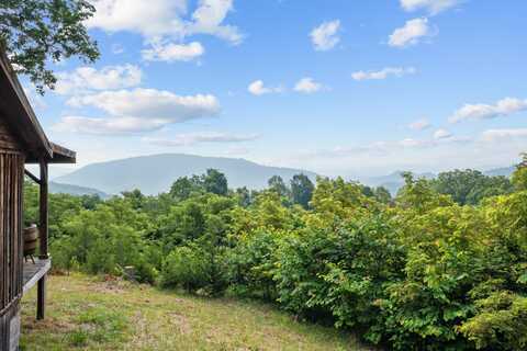 Tbd Johnson ROAD, Sneedville, TN 37869