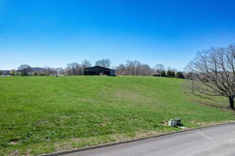 6350 Turners Pond Trail, Russellville, TN 37860