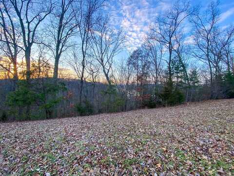 2005 Turners Landing Rd., Russellville, TN 37860