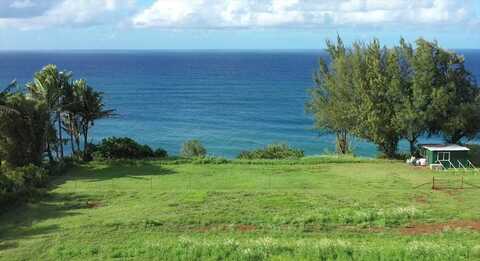 KAUAPEA RD, KILAUEA, HI 96754