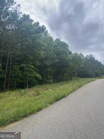 0 Sourwood Trail, Colbert, GA 30628