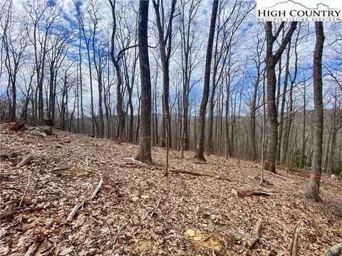 Tbd Old chestnut Mountain Road, Newland, NC 28657