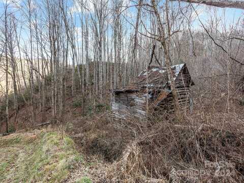 NC 209 Highway, Spring Creek, NC 28743