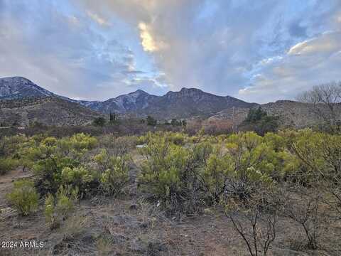 1 Acre E Catclaw Circle, Hereford, AZ 85615