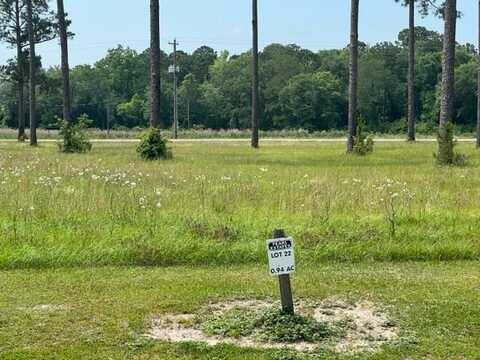 Lot #22 Emerald Drive, Willacoochee, GA 31650