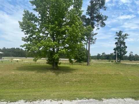 Lot #41 Emerald Drive, Willacoochee, GA 31650