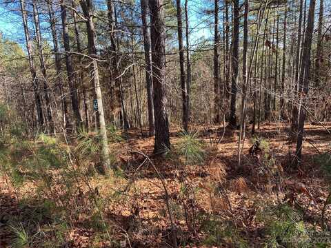 2052 Lighthouse Lane, Connelly Springs, NC 28612