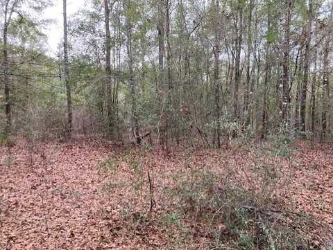 Lot 41 Meadow Lane, Andalusia, AL 36421