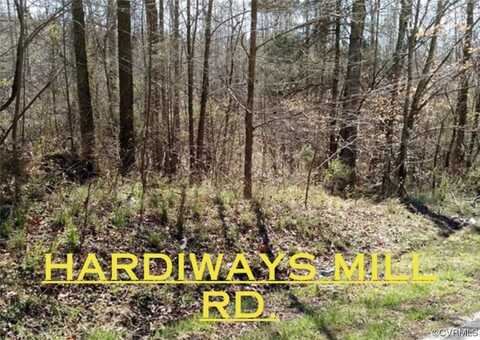 0 Hardiways Mill Road, Dinwiddie, VA 23841