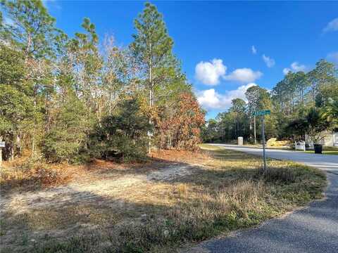 3279 W Talinum PL, Other City - In The State Of Florida, FL 34433