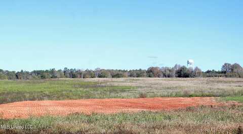 14+/-Ac Jerry Fork Road, Lucedale, MS 39452