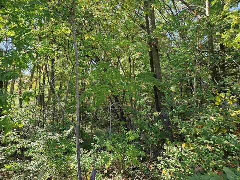 LOt 36 Lakeview, Harrison, MI 48625