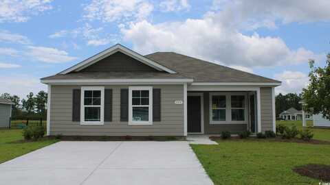 153 Teddy Bear Circle, Conway, SC 29526