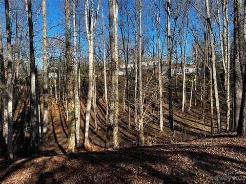 99999 W Skyland Circle, Asheville, NC 28804
