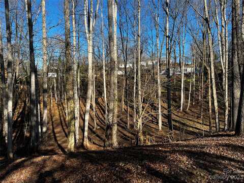 99999 Skyland Circle, Asheville, NC 28804