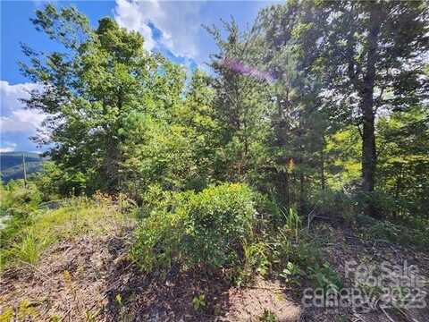 53 Autumn View Drive, Hendersonville, NC 28792