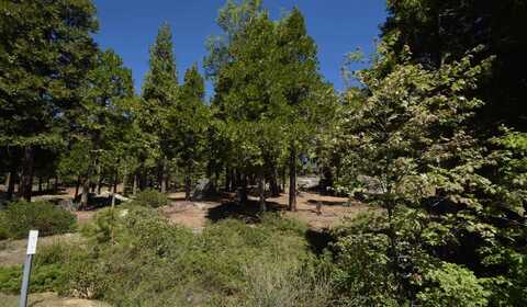 42243 Opal Lane, Shaver Lake, CA 93664