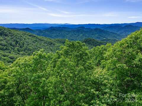 Old Growth Forest Road lot: 17, Burnsville, NC 28714