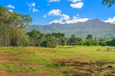 HALAULANI RD, KILAUEA, HI 96754