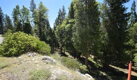 42506 Opal Lane, Shaver Lake, CA 93664