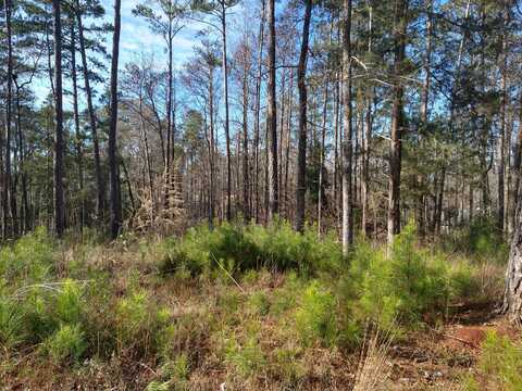 161 BOWEN Drive, Modoc, SC 29838