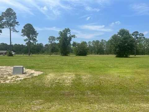 Lot #25 Emerald Drive, Willacoochee, GA 31650