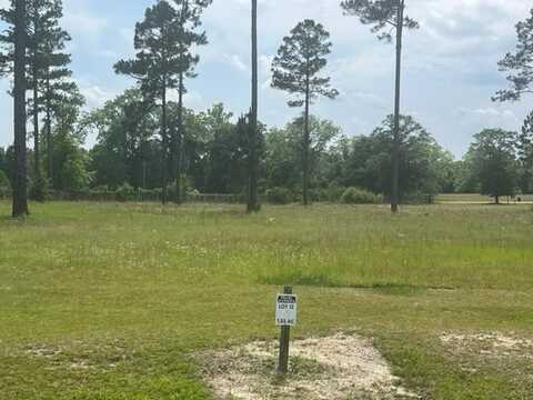 Lot #12 Emerald Drive, Willacoochee, GA 31650