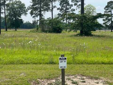 Lot #19 Emerald Drive, Willacoochee, GA 31650