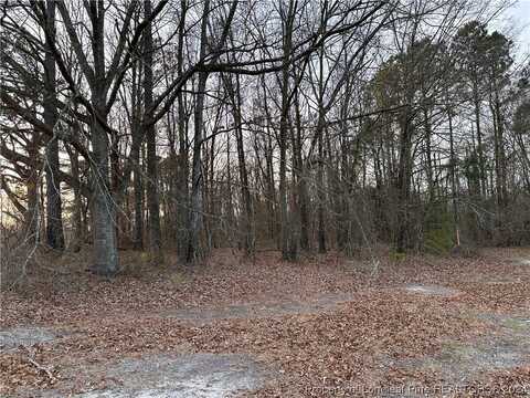 Lot 2 Midway Road, Rowland, NC 28364