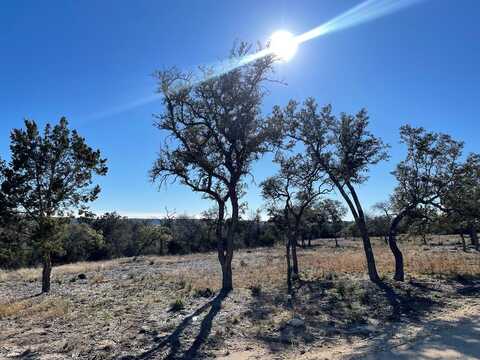 118 Nina Other, Camp Verde, TX 78010