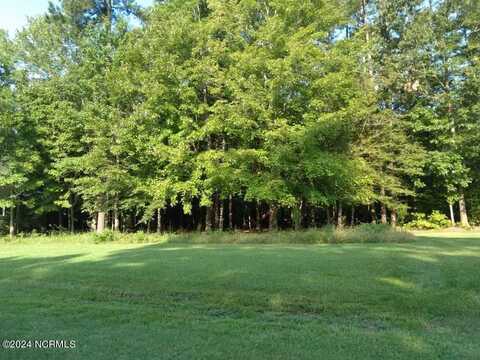 Lot 2 Meherrin River Drive, Hertford, NC 27944