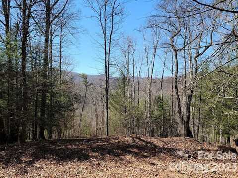 000 Elise Way, Waynesville, NC 28785