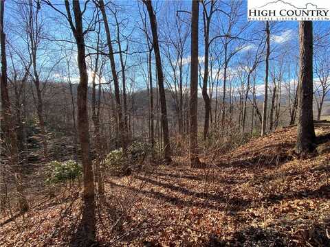 Tbd Tanner Road, Boone, NC 28607