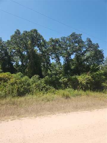 Lot 11 New Mexico Parkway, Hilltop Lakes, TX 77871