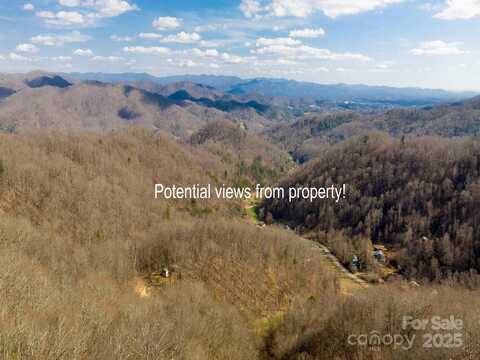 00 Norton Branch Road, Marshall, NC 28753