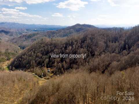 00 Norton Branch Road, Marshall, NC 28753